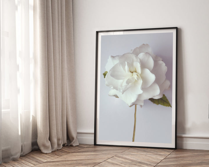 SMELLS LIKE CHRISTMAS