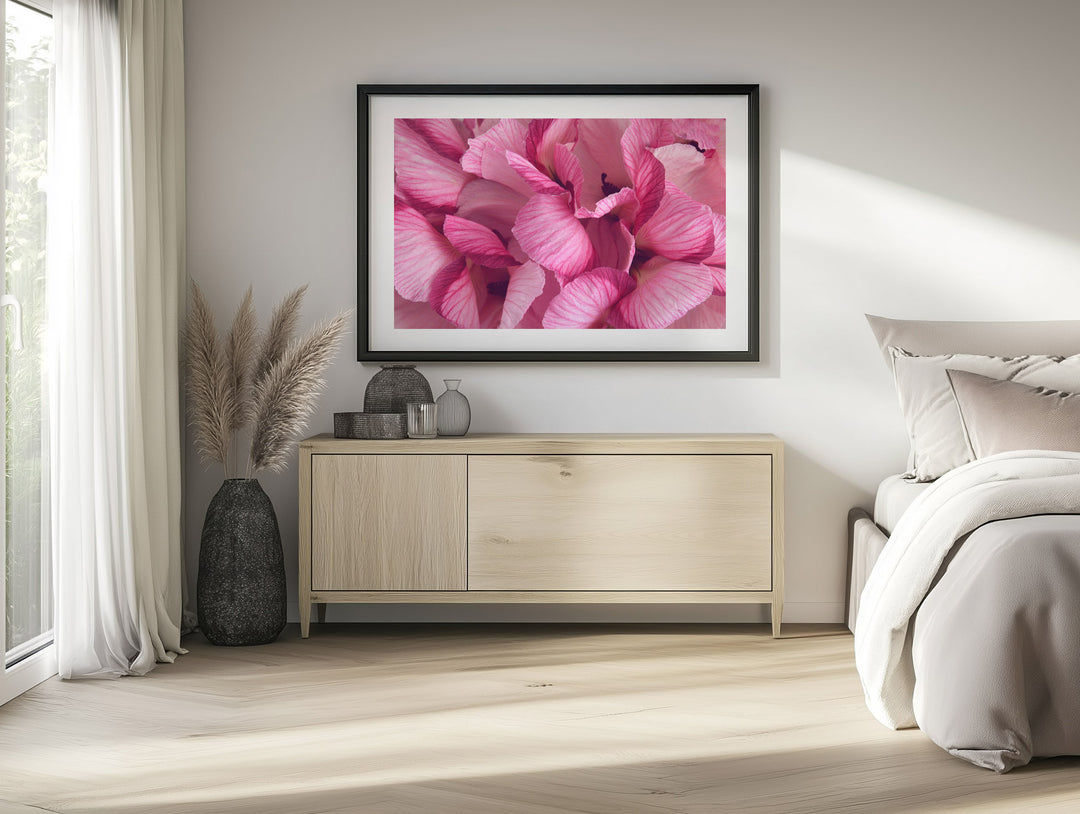 AUSSIE PINK HIBISCUS