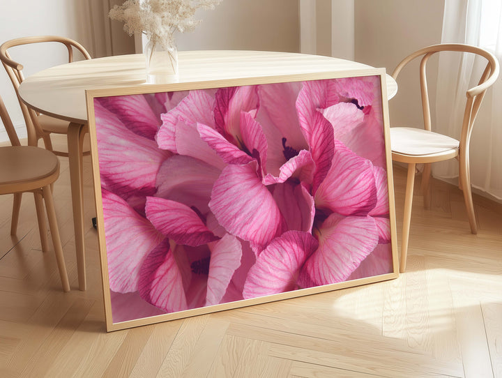 AUSSIE PINK HIBISCUS