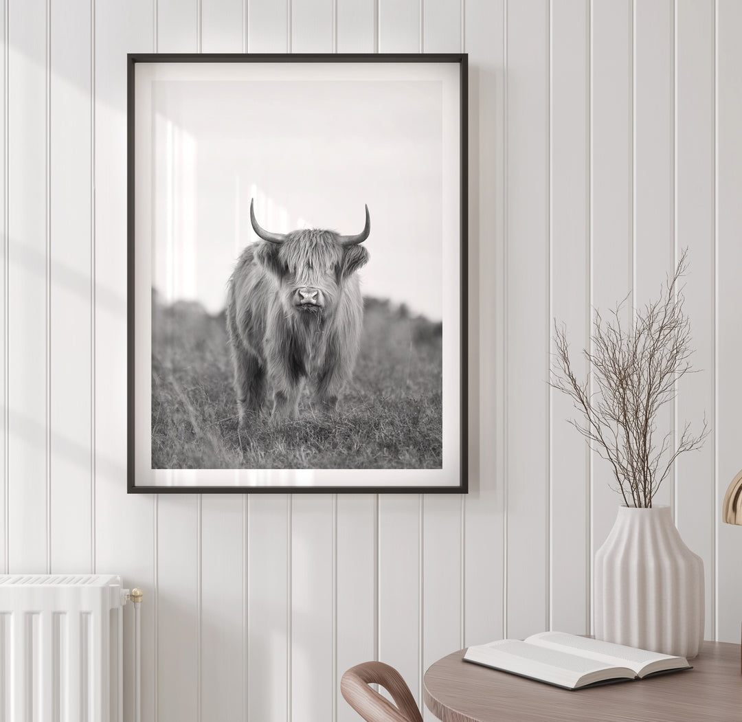 DIXIE THE HIGHLAND COW BLACK AND WHITE