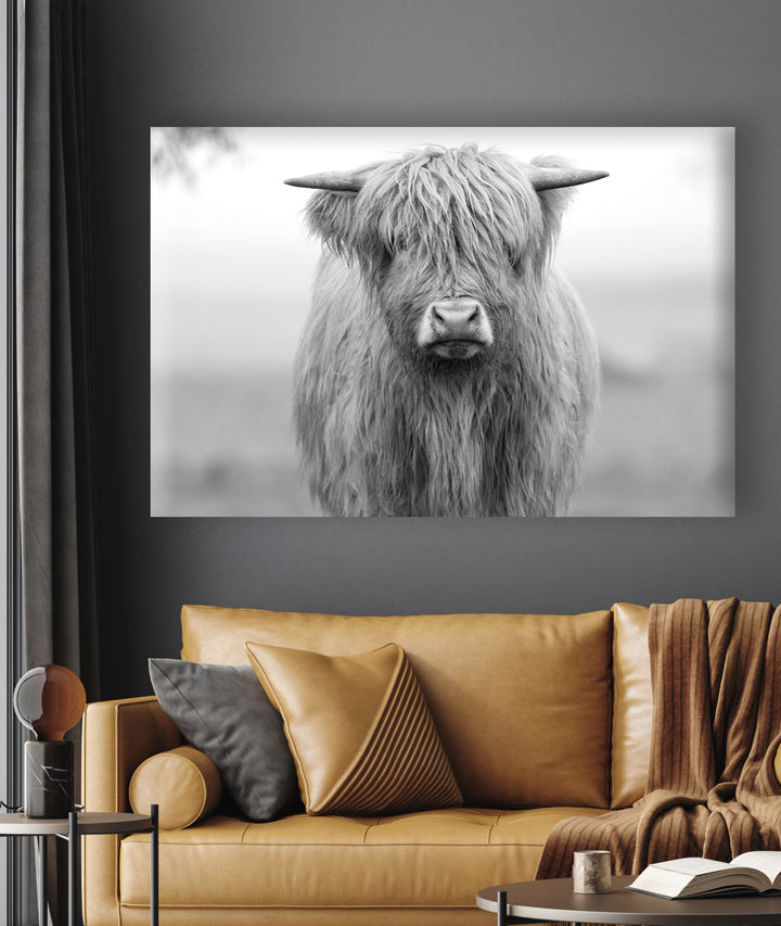 HUGH THE HIGHLAND COW BLACK AND WHITE