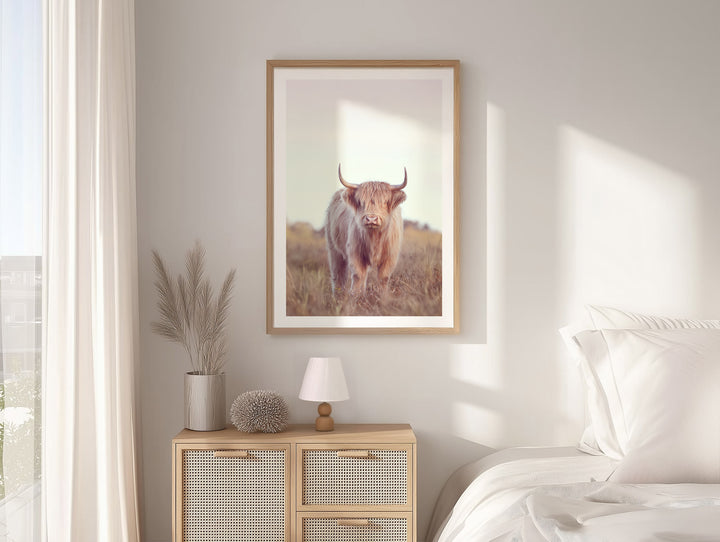 DIXIE THE HIGHLAND COW