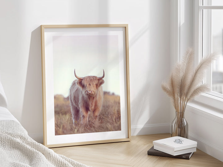 DIXIE THE HIGHLAND COW