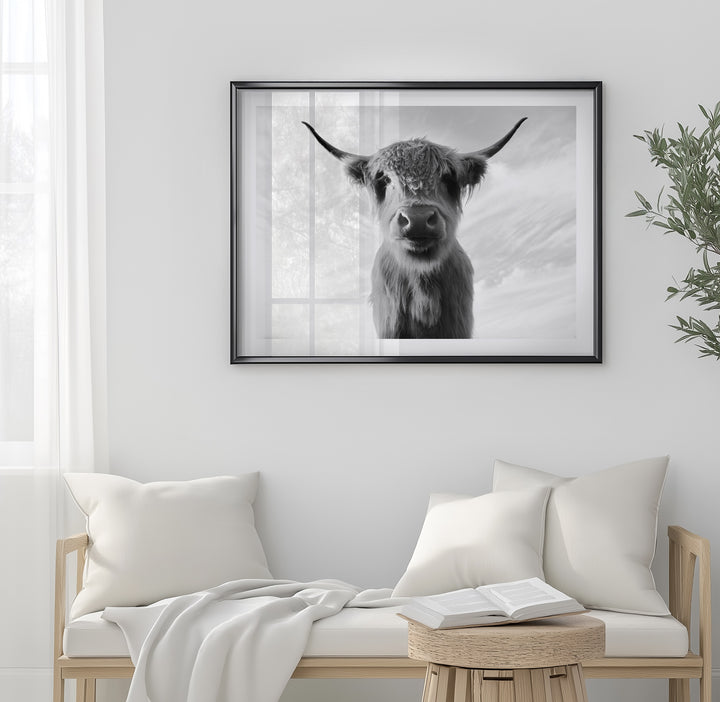 BILLY BOB THE HIGHLAND COW BLACK & WHITE