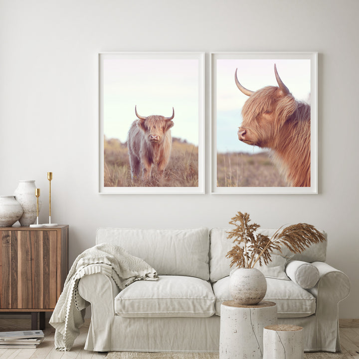 SET OF 2 - DAISY THE HIGHLAND COW