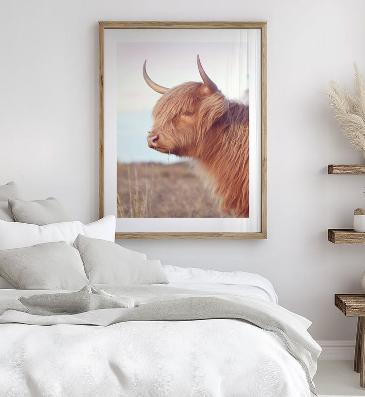 DIXIE THE HIGHLAND COW III