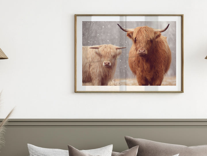 THE HIGHLAND BROTHERS