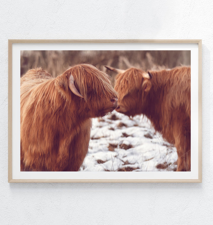 THE HIGHLAND PAIR