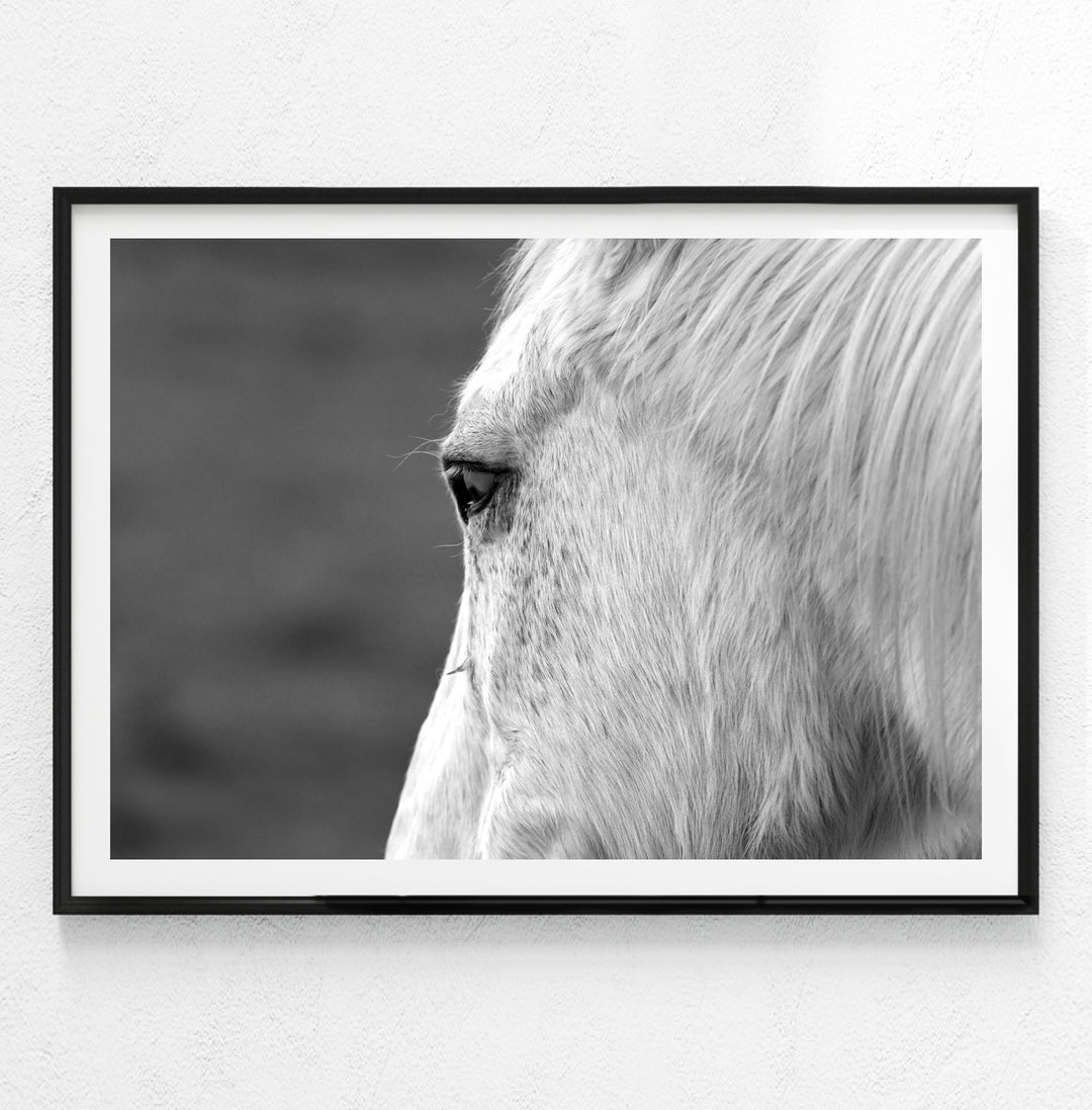 ESTELLE BLACK AND WHITE