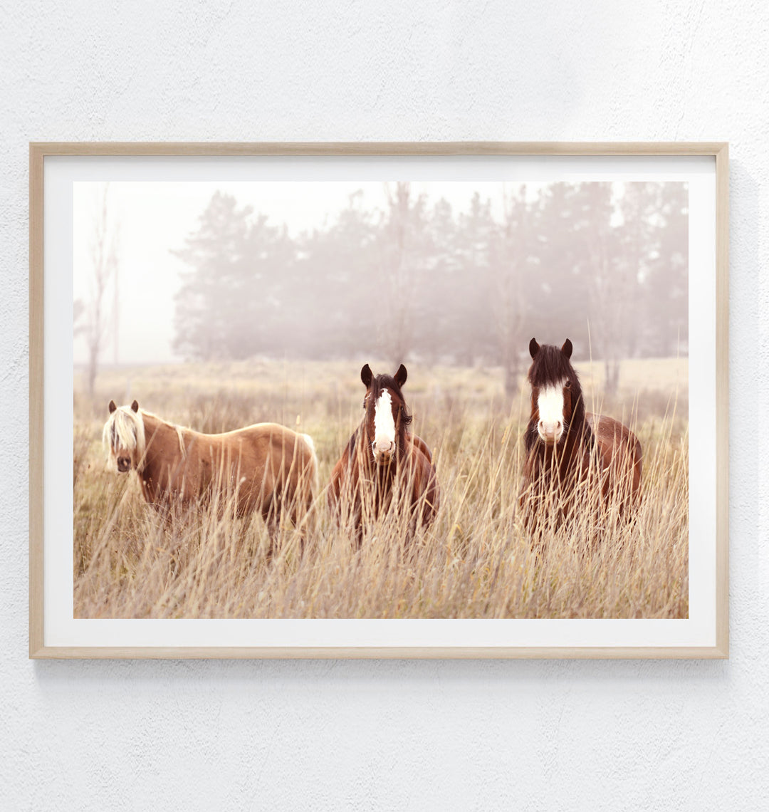 WINTER HORSES
