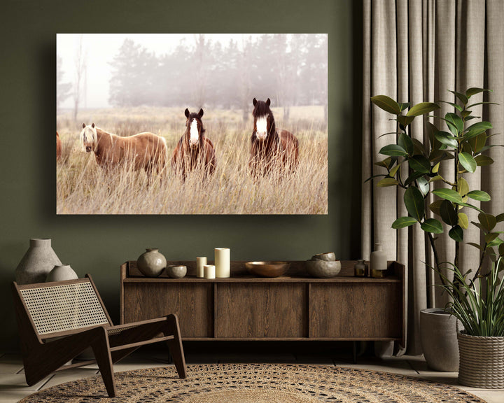 WINTER HORSES