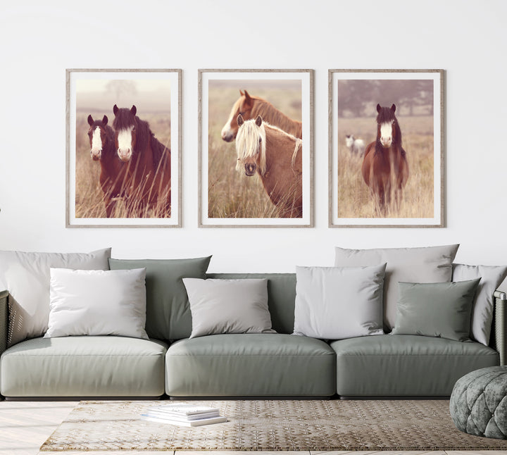 SET OF 3 - MISTY MORNING HORSES