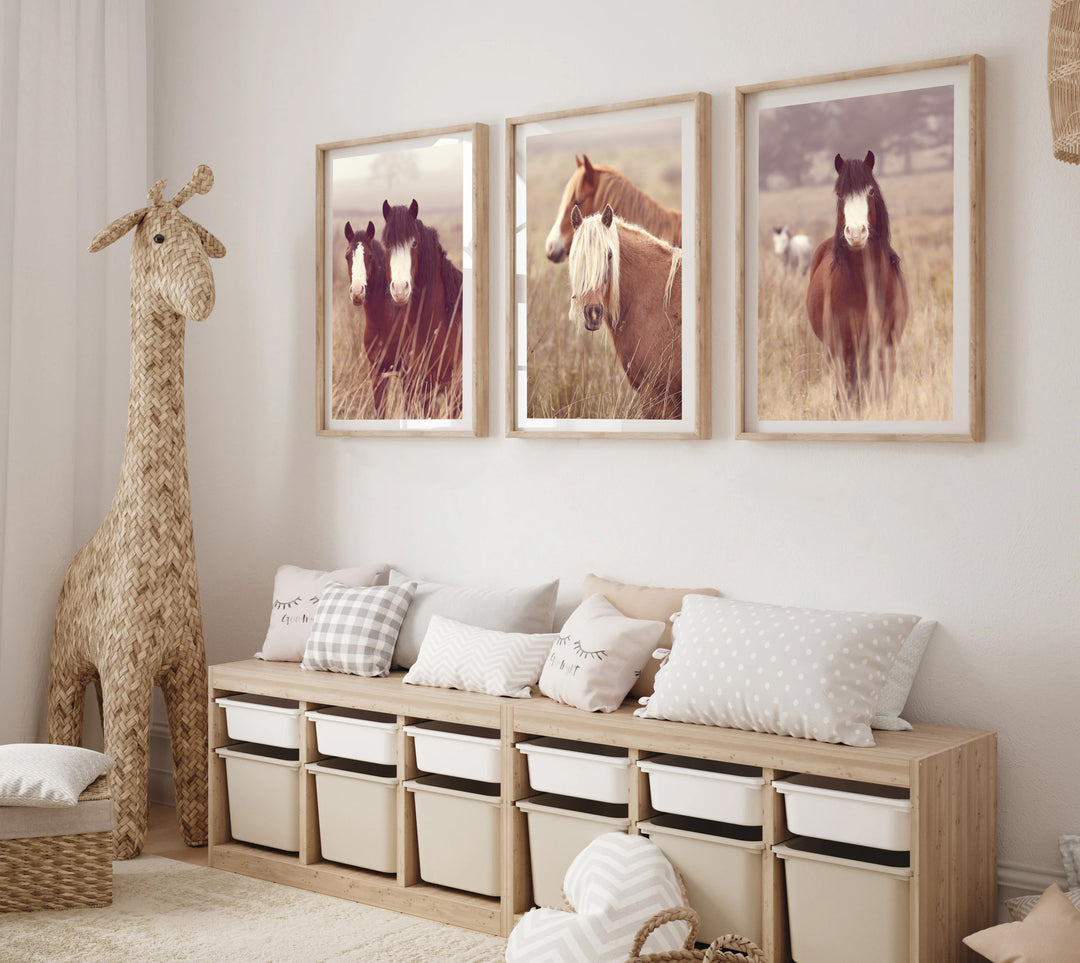 SET OF 3 - MISTY MORNING HORSES