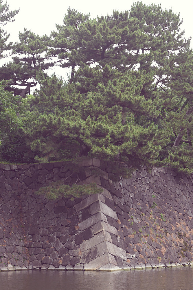 SET OF 2 - IMPERIAL PALACE, TOKYO JAPAN II