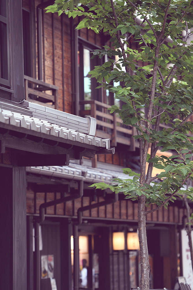 SET OF 3 - ARCHITECTURE OF RURAL JAPAN