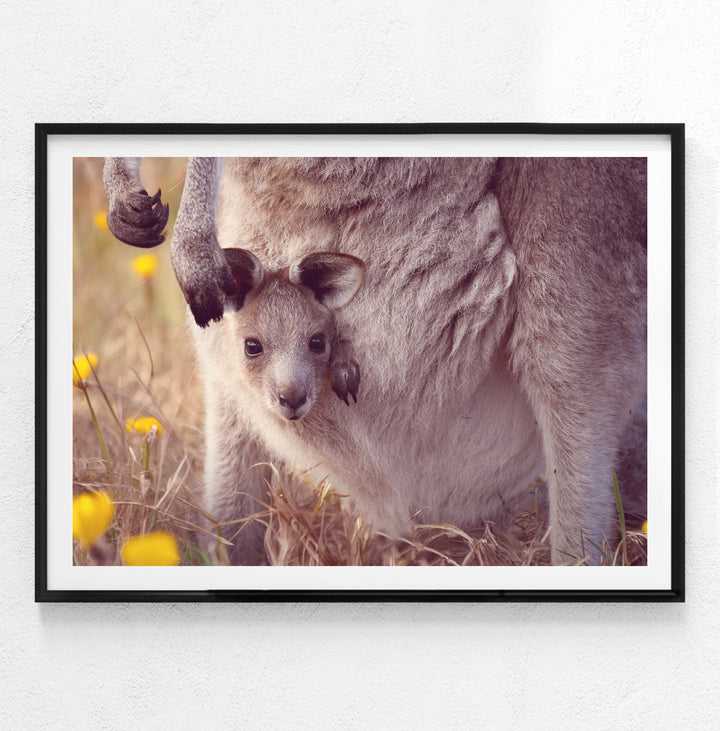 PEEKABOO ROO