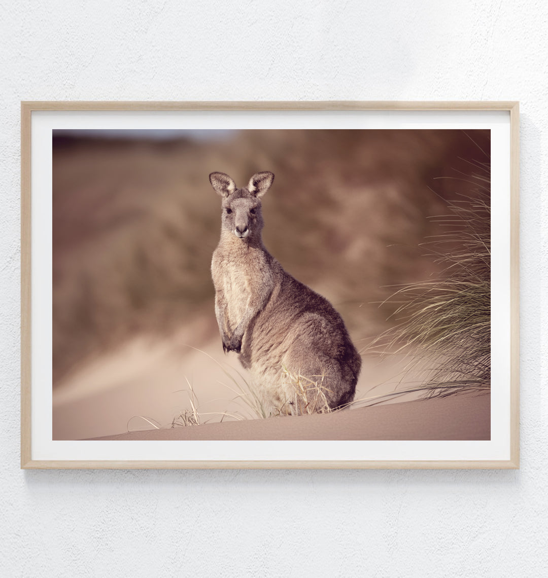 SUNRISE BEACH ROO