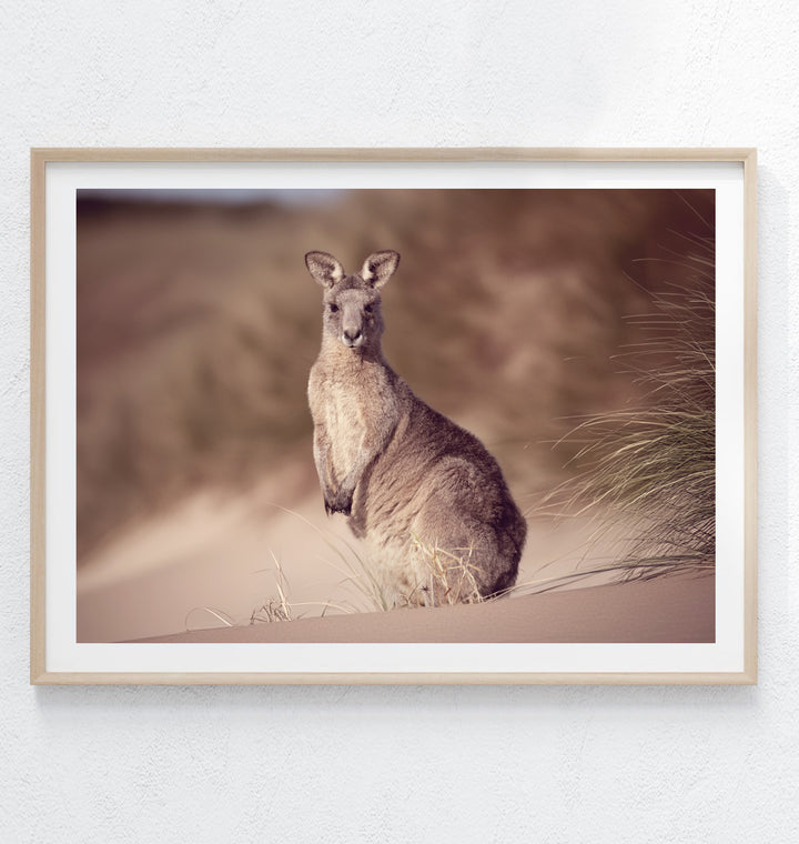 SUNRISE BEACH ROO