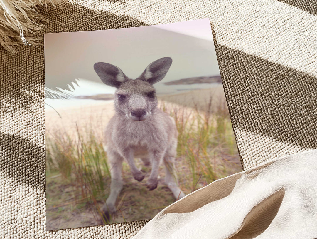 ROO STARE