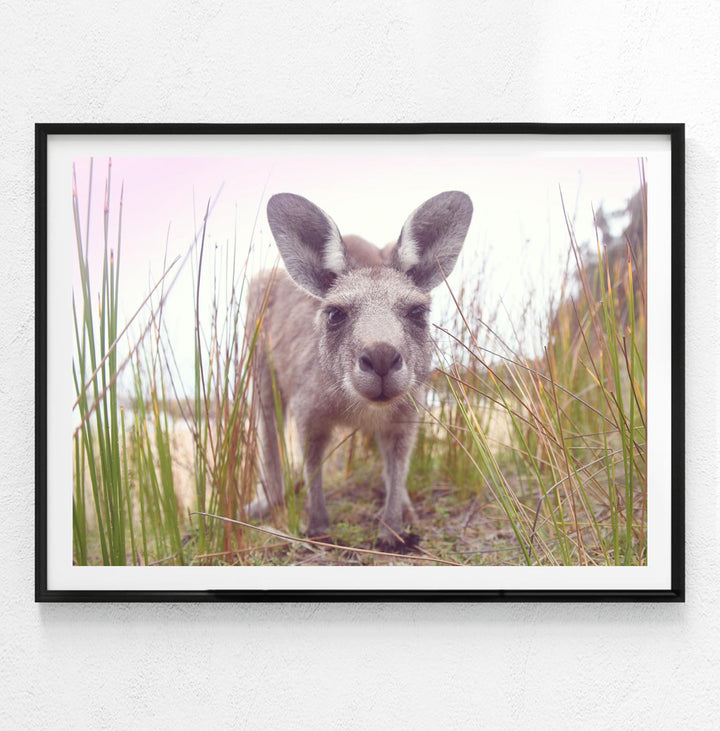 ROO CLOSE UP