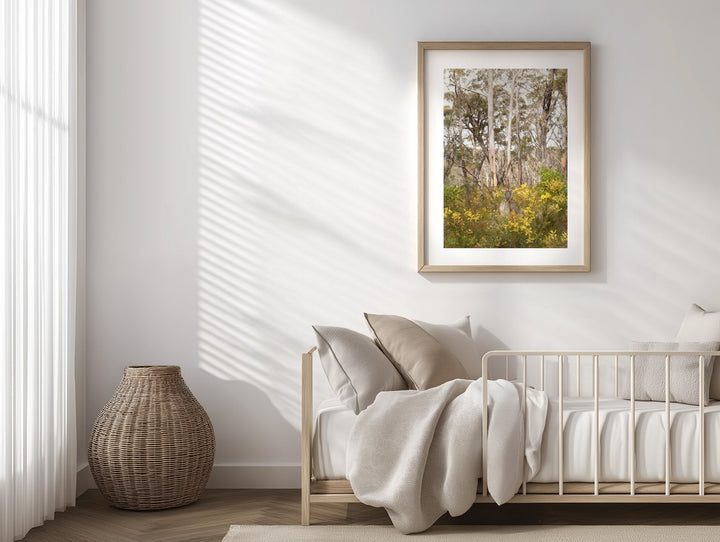 KANGAROO WATTLE