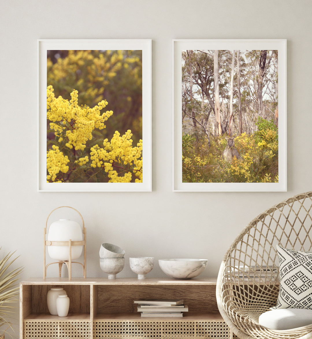 SET OF 2 - SKIPPY IN THE WATTLE