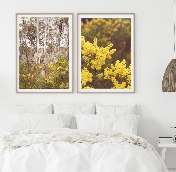 SET OF 2 - SKIPPY IN THE WATTLE