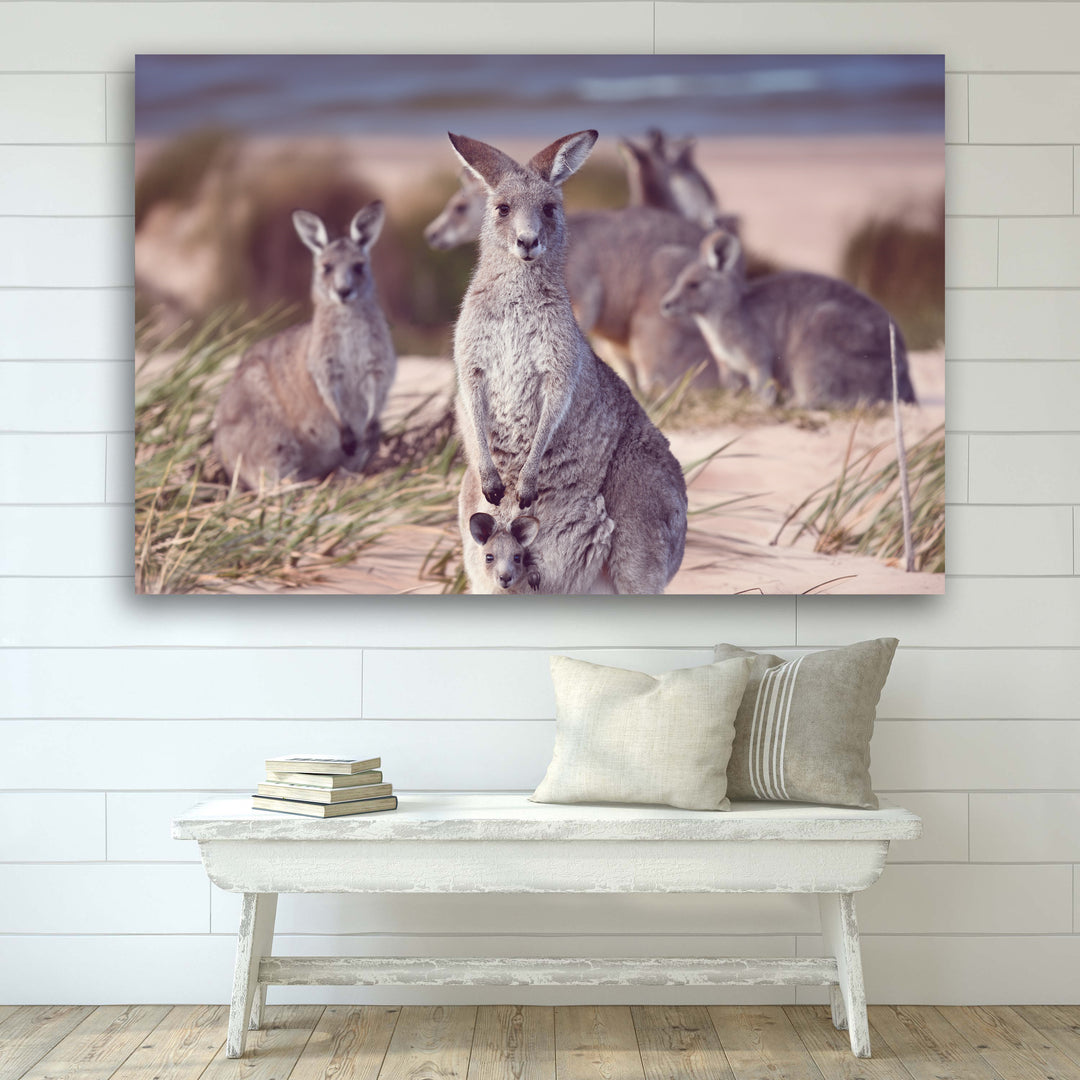 SOUTH COAST BEACH ROOS