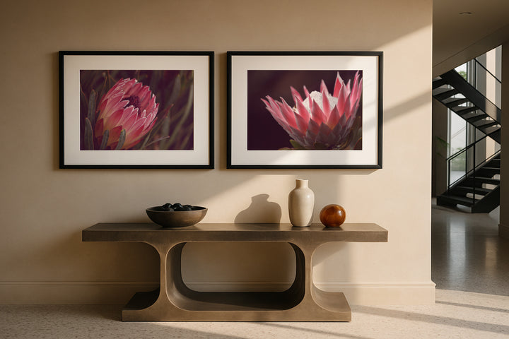 SET OF 2 – MOODY PROTEA