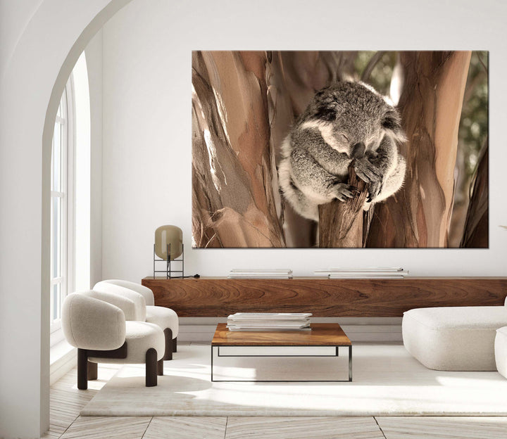 KOALA LOVE