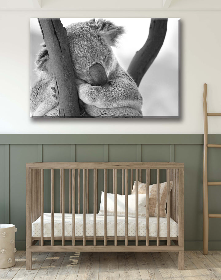 KENNY THE KOALA II BLACK AND WHITE