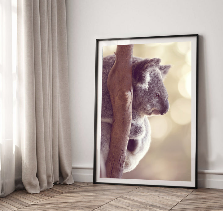 KENNY THE KOALA