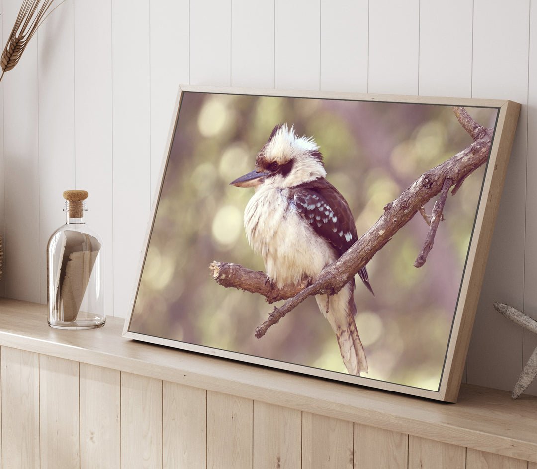 LONELY KOOKA