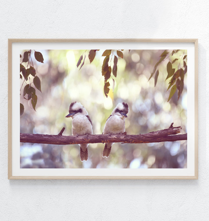 BABY KOOKAS