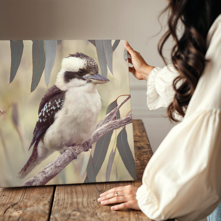 KOOKABURRA IN THE GUMS