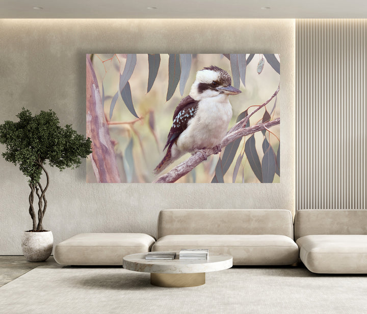 KOOKABURRA IN THE GUMS