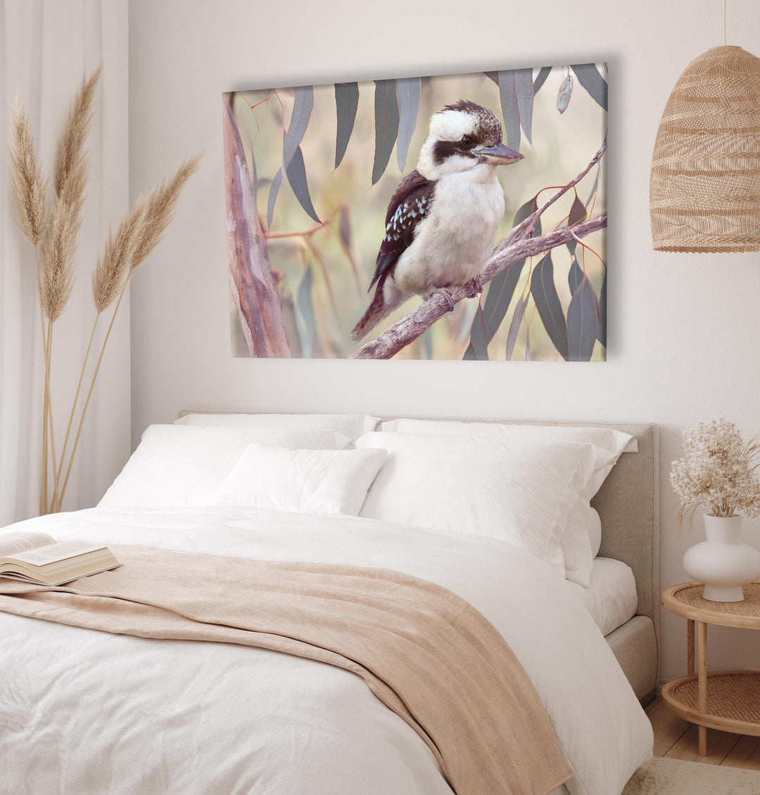 KOOKABURRA IN THE GUMS