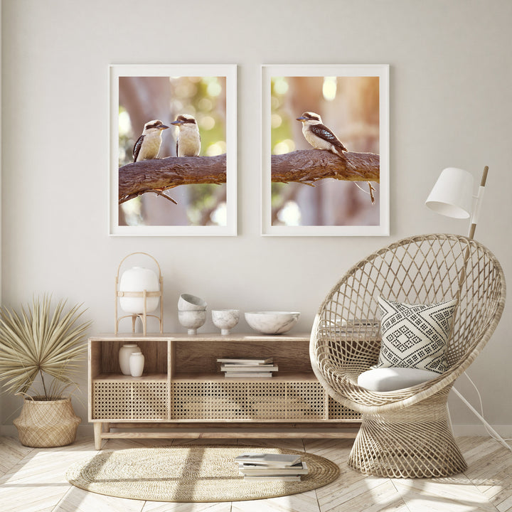 SET OF 2 - KOOKABURRA RESTING IN AUSSIE GUMS