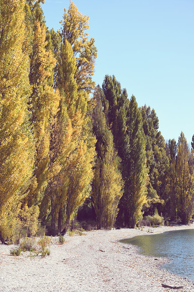 SET OF 2 - AUTUMN IN LAKE WANAKA, NEW ZEALAND