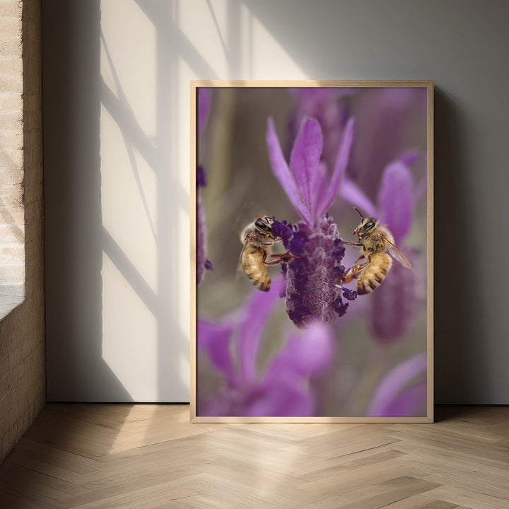 LAVENDER BEES PORTRAIT