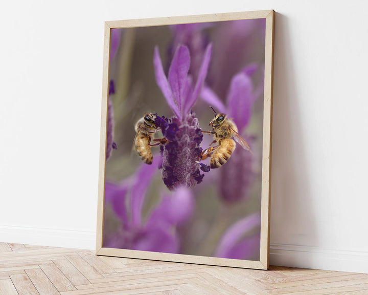 LAVENDER BEES PORTRAIT