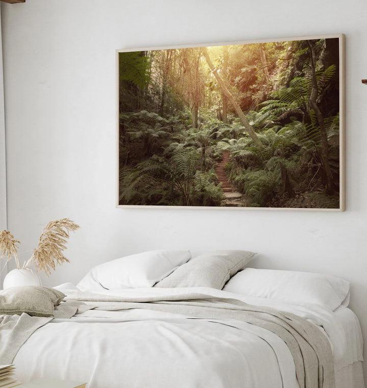 LEURA FOREST