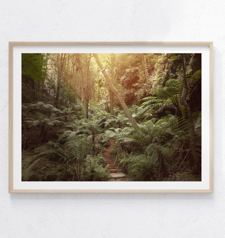 LEURA FOREST