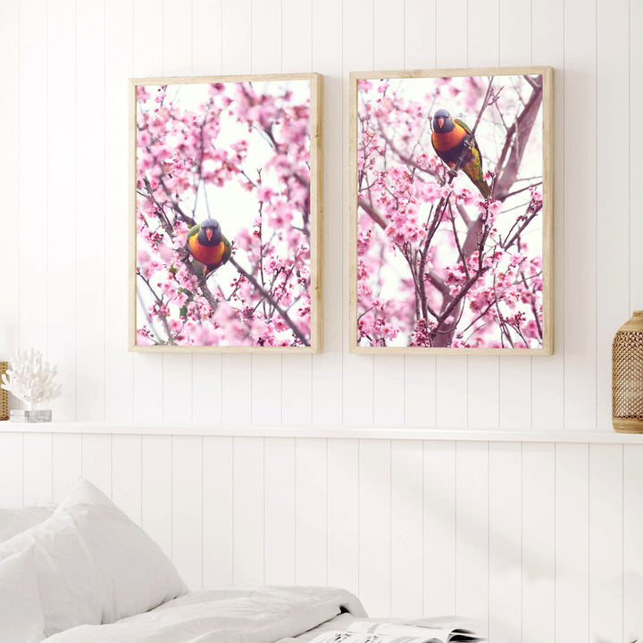 SET OF 2 - CHERRY BLOSSOM LORIKEET