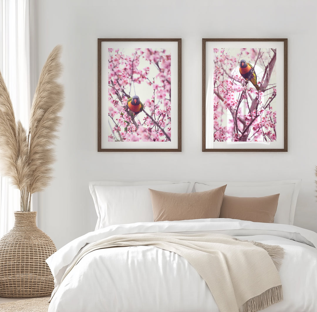 SET OF 2 - CHERRY BLOSSOM LORIKEET
