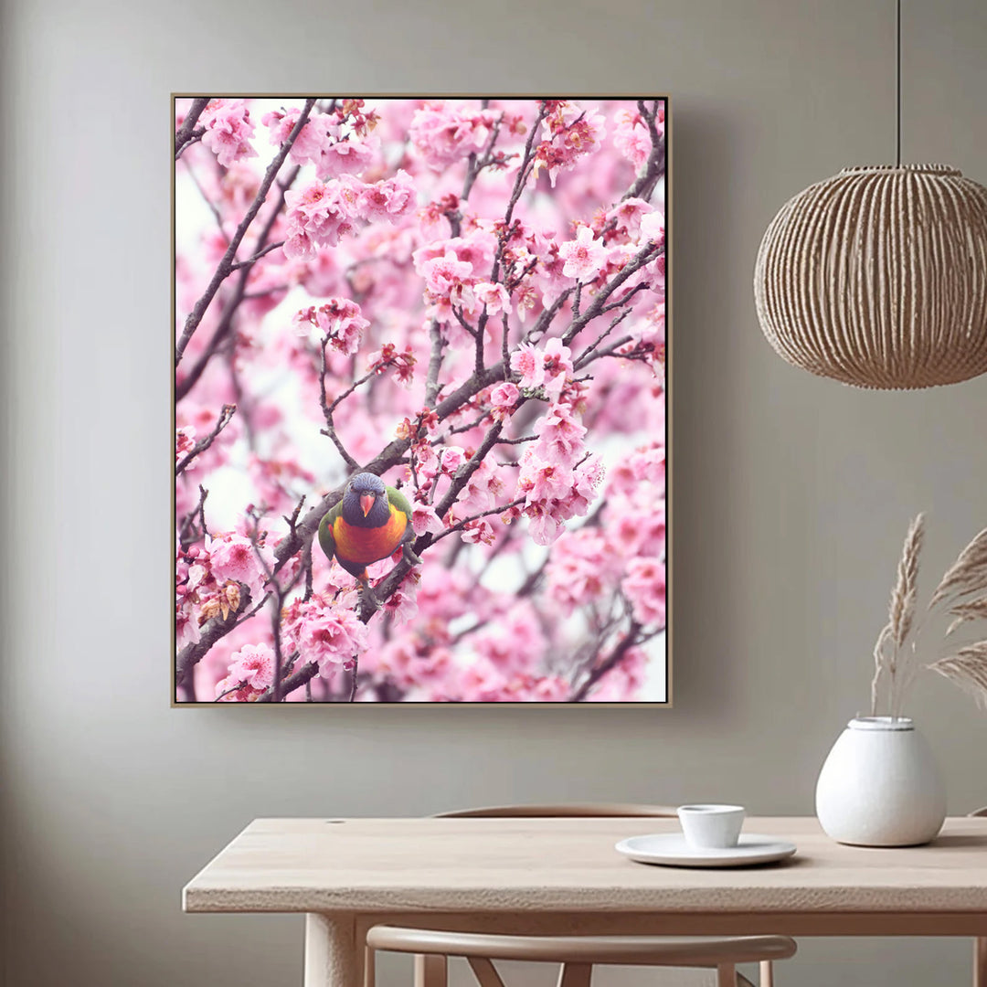 SPRING LORIKEET
