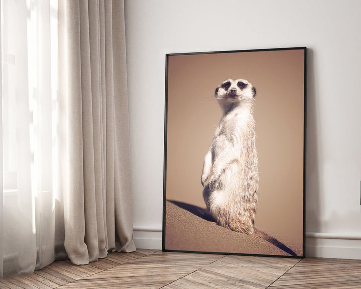 MEERKAT ON THE LOOKOUT