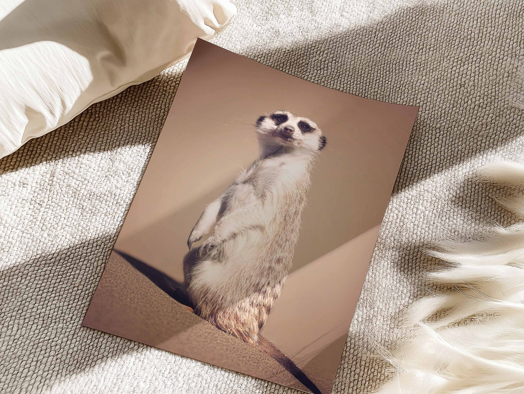 MEERKAT ON THE LOOKOUT