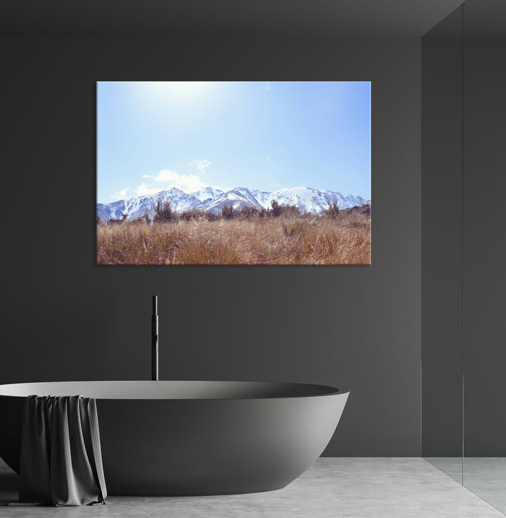 MT SOMERS DEER, NEW ZEALAND