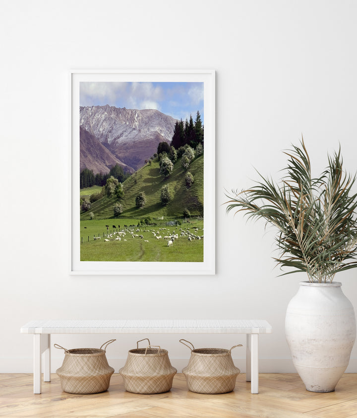 SUMMER IN ARROWTOWN, NEW ZEALAND